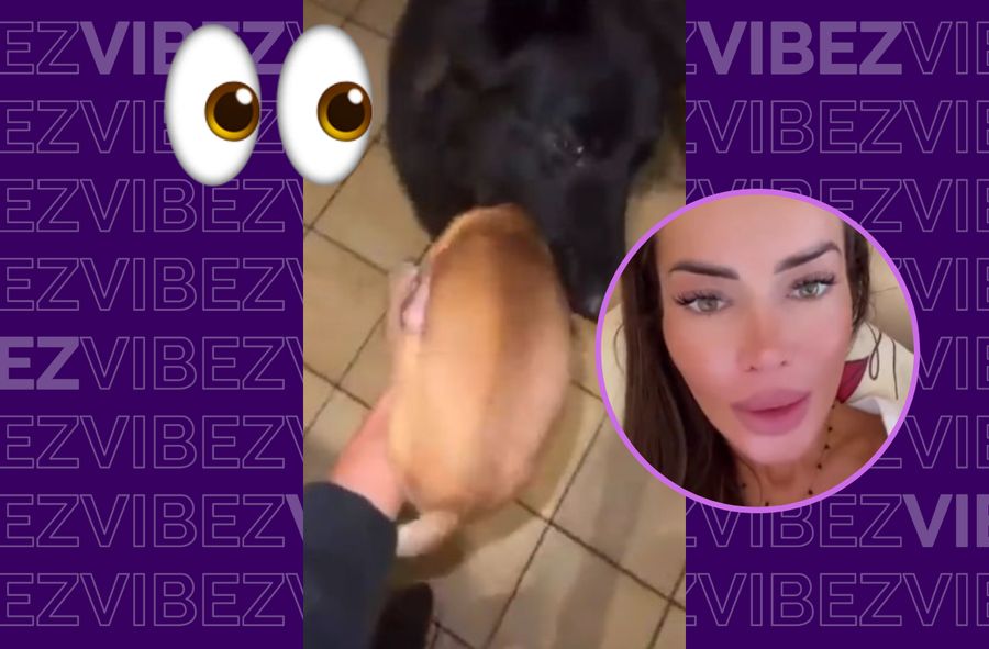 Influencerka straciła konto za "zabawę" z psami