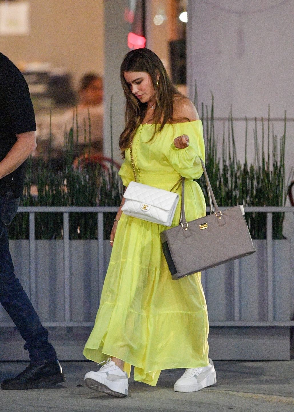 Sofia Vergara na randce ze znanym chirurgiem