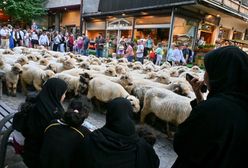 Ziemniaki halal na Podhalu. Górale pokochali arabskich turystów