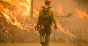 Ogień trawi USA. Skala pożarów poraża