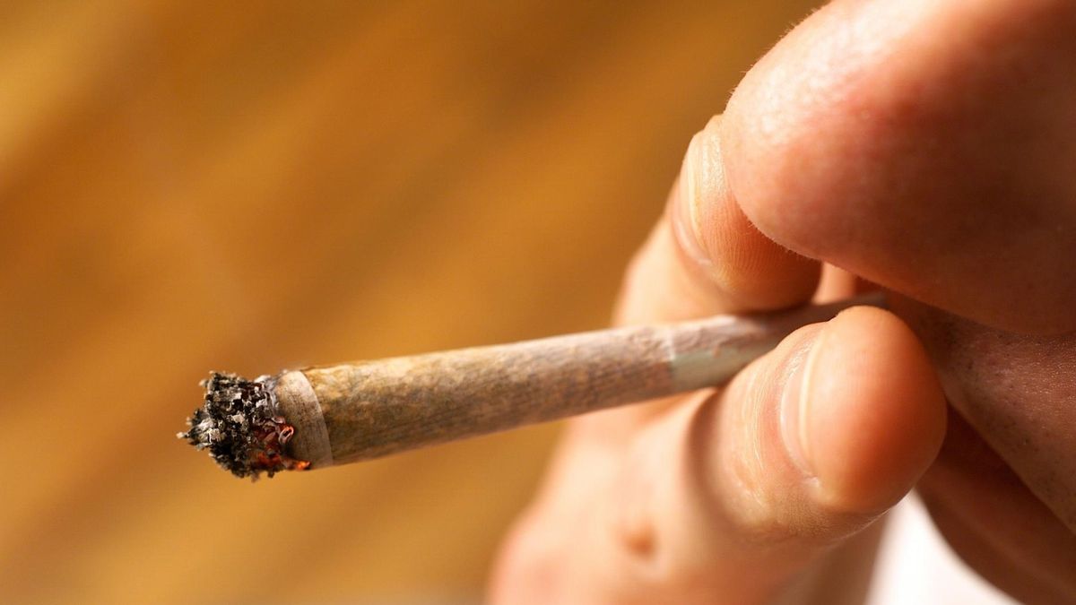 Marihuana wzmaga apetyt. Także na zyski fastfoodów.