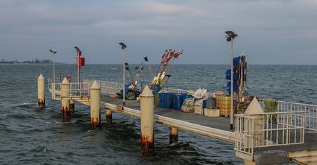 Skażone ryby z Bałtyku. Są niebezpieczne dla zdrowia