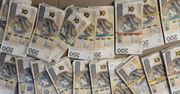 Pseudokibice przemycili 2,5 tony marihuany z Hiszpanii. Służby rozbiły dwie grupy