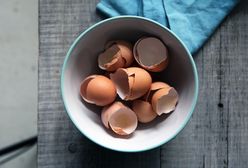 Jak wykorzystać skorupki po jajkach? Poznaj 8 nietypowych zastosowań