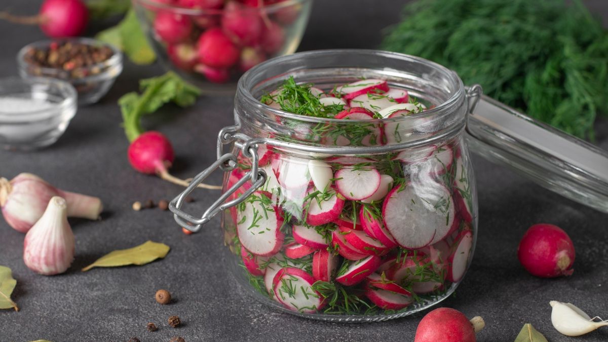 Rzodkiewka kiszona z imbirem