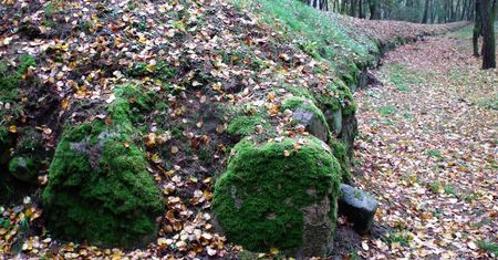 Tajemnicze piramidy na Kujawach. Grobowce neolityczne sprzed 5500 lat