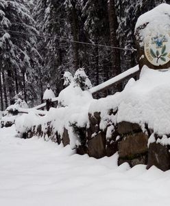 Śląskie. Śnieg w wyższych partiach Beskidów. Bardzo trudne warunki na szlakach