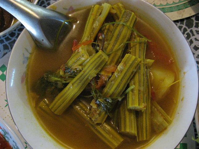 Zupa z owoców moringi - wygląda pysznie! (fot. Wikimedia Commons/Wagaung/lic. CC)