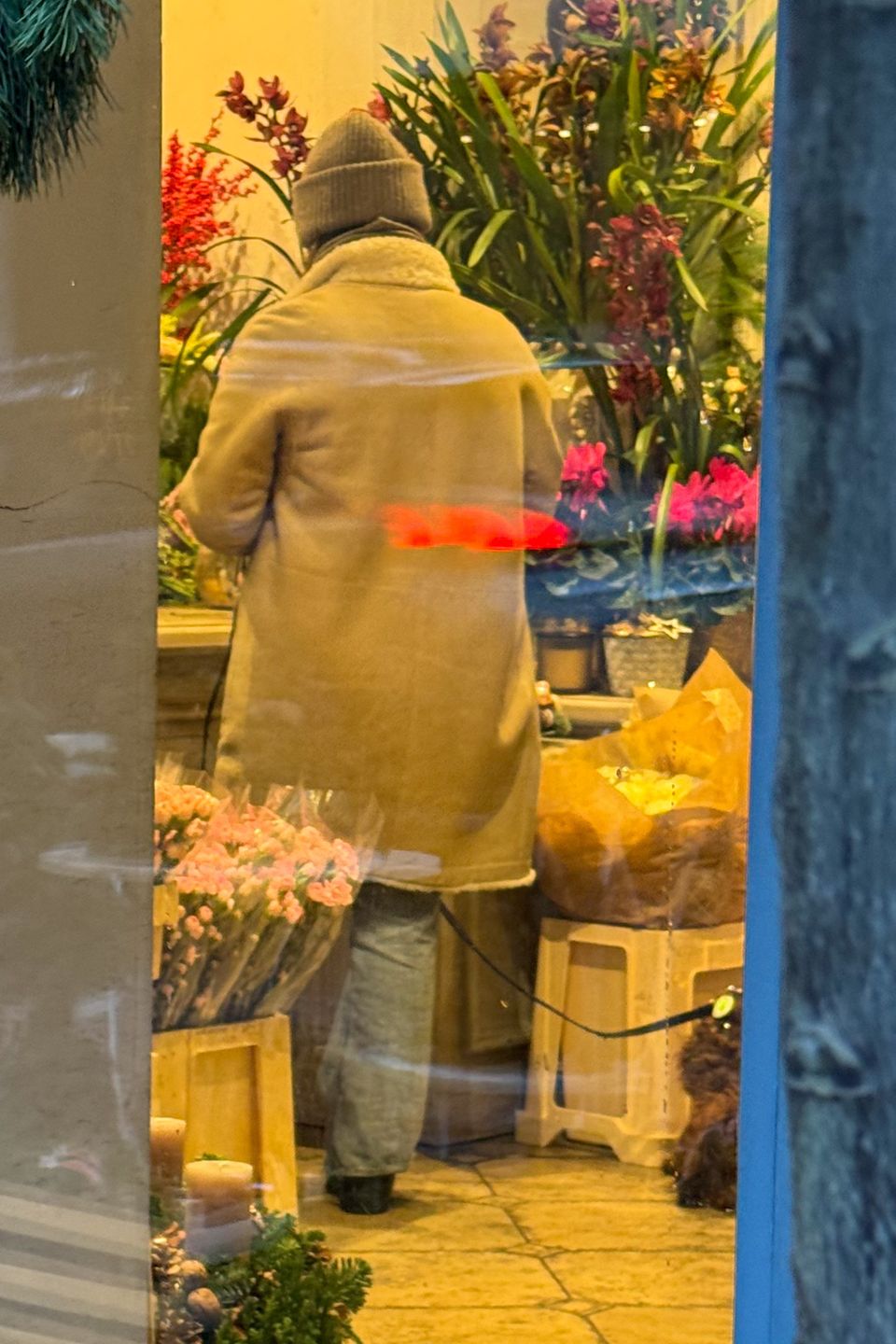 Anna Mucha w kwiaciarni