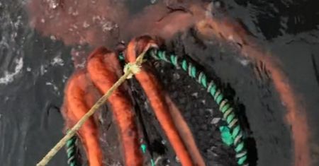 Chwile grozy podczas połowu. Kobieta pokazała nagranie wideo