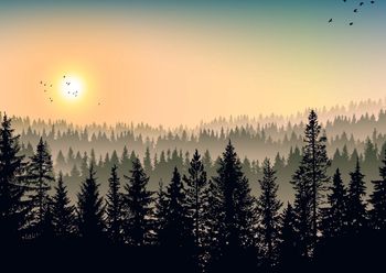 Odnajdziesz się na bezdrożach? Trudna krzyżówka dla podróżników