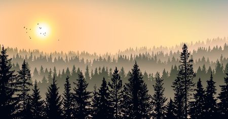 Odnajdziesz się na bezdrożach? Trudna krzyżówka dla podróżników