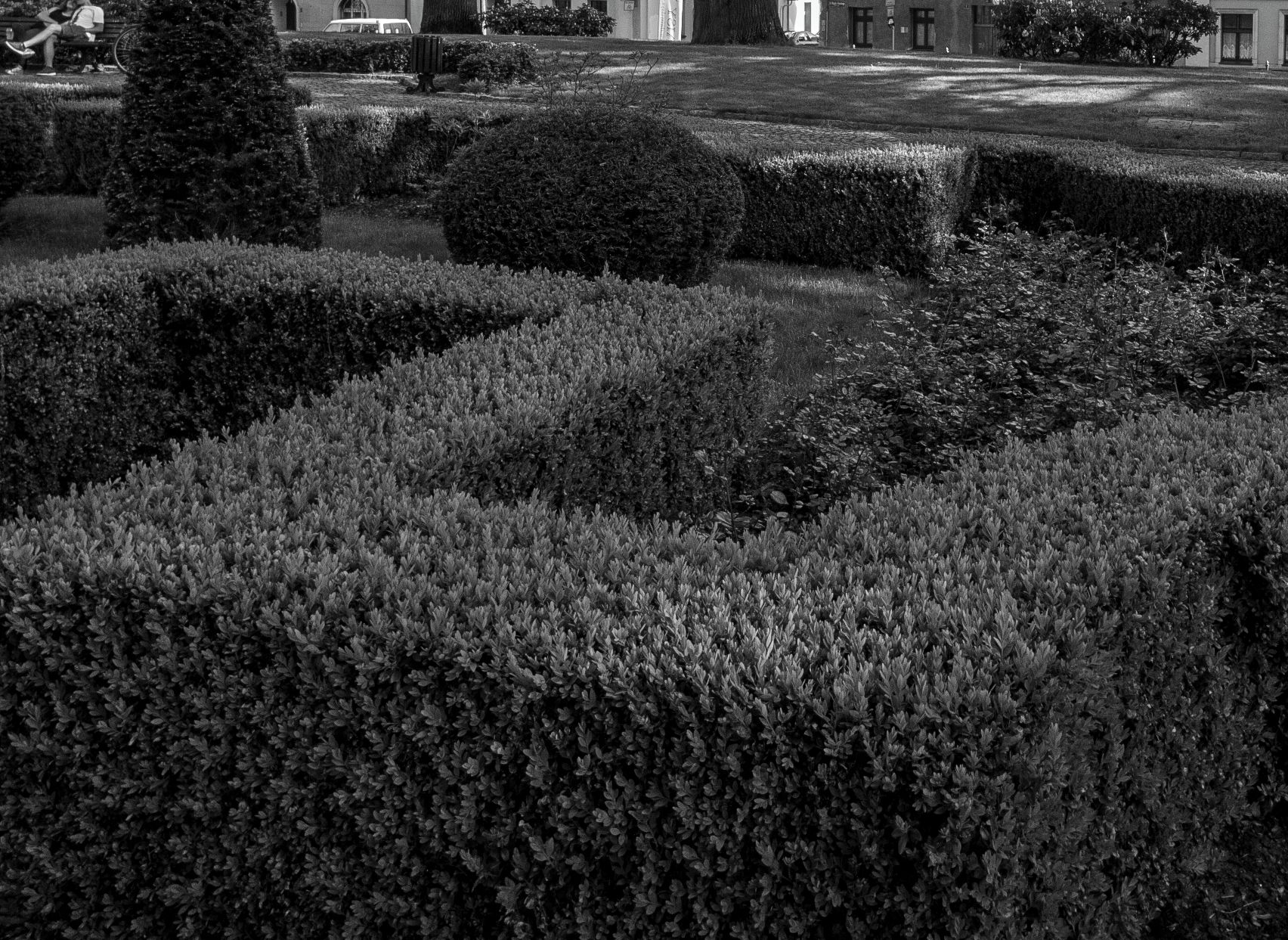 Subiektywnie o Leica M Monochrom Typ 246 59