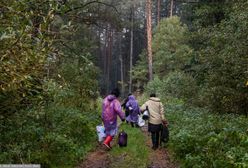 Pobicie migrantów w Hajnówce. Policja szuka sprawców