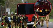 Gasili pożar w Puszczy Solskiej. Teraz potrzebują pieniędzy. Ruszyły zbiórki