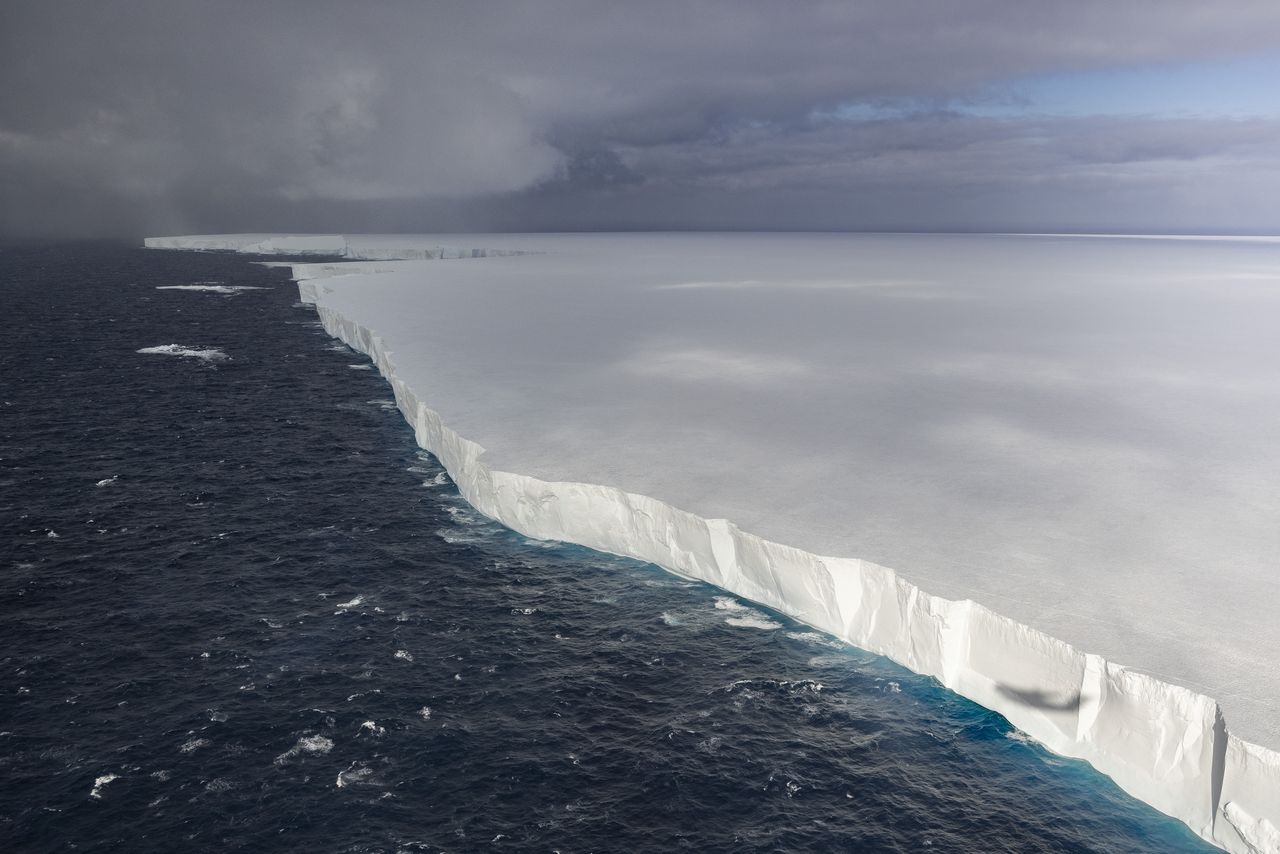 Iceberg A23a: Largest ice giant disrupts South Georgia ecosystem