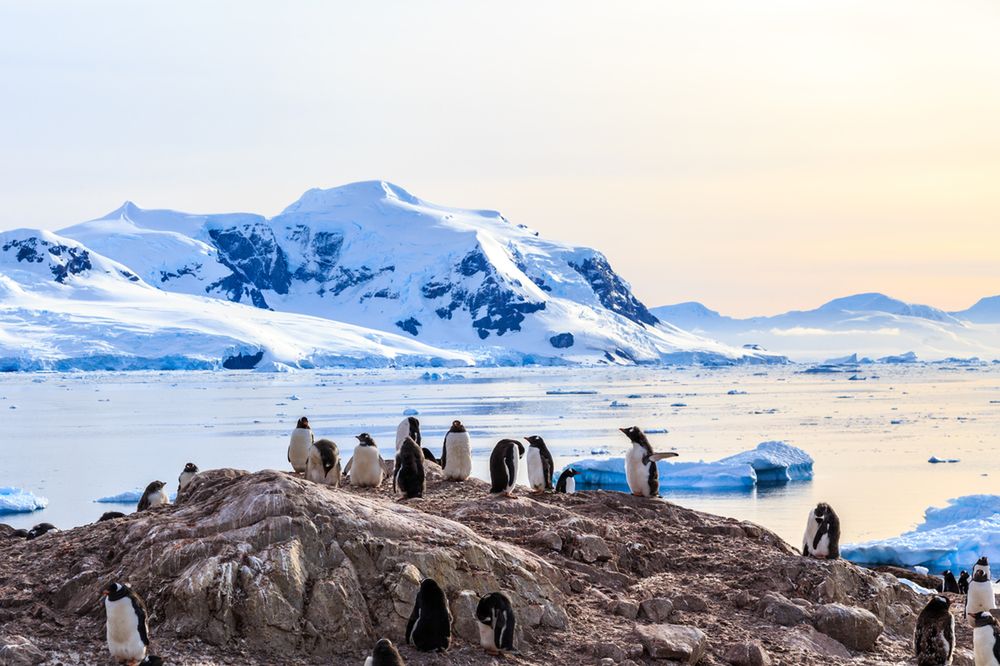 Marzysz o wyjeździe na biegun? Polska Stacja Antarktyczna rekrutuje pracowników