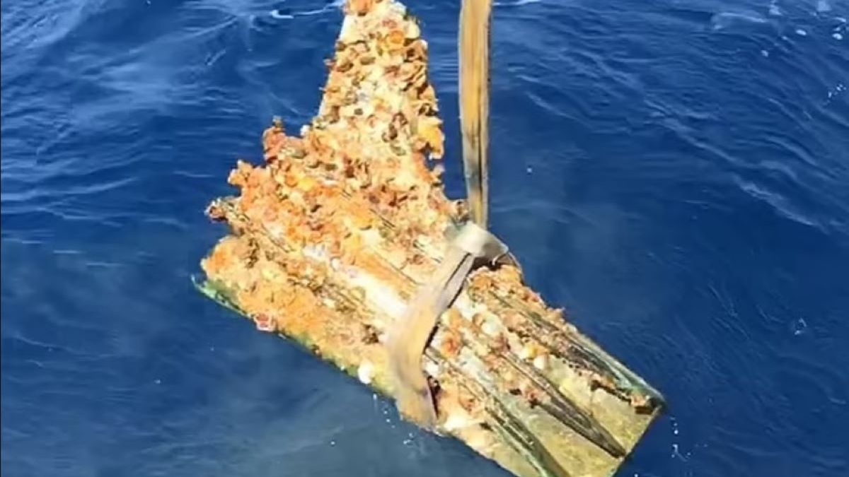 Niezwykłe odkrycie w Morzy Śródziemnym 