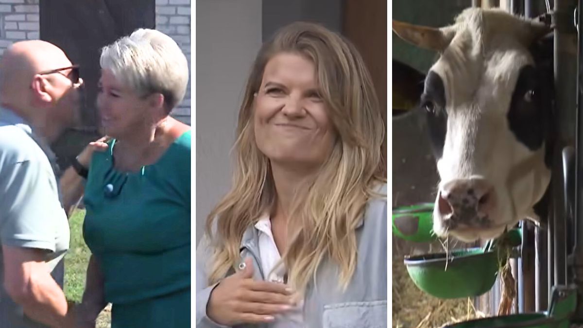 Co wydarzy się w 5. odcinku "Rolnik szuka żony"?