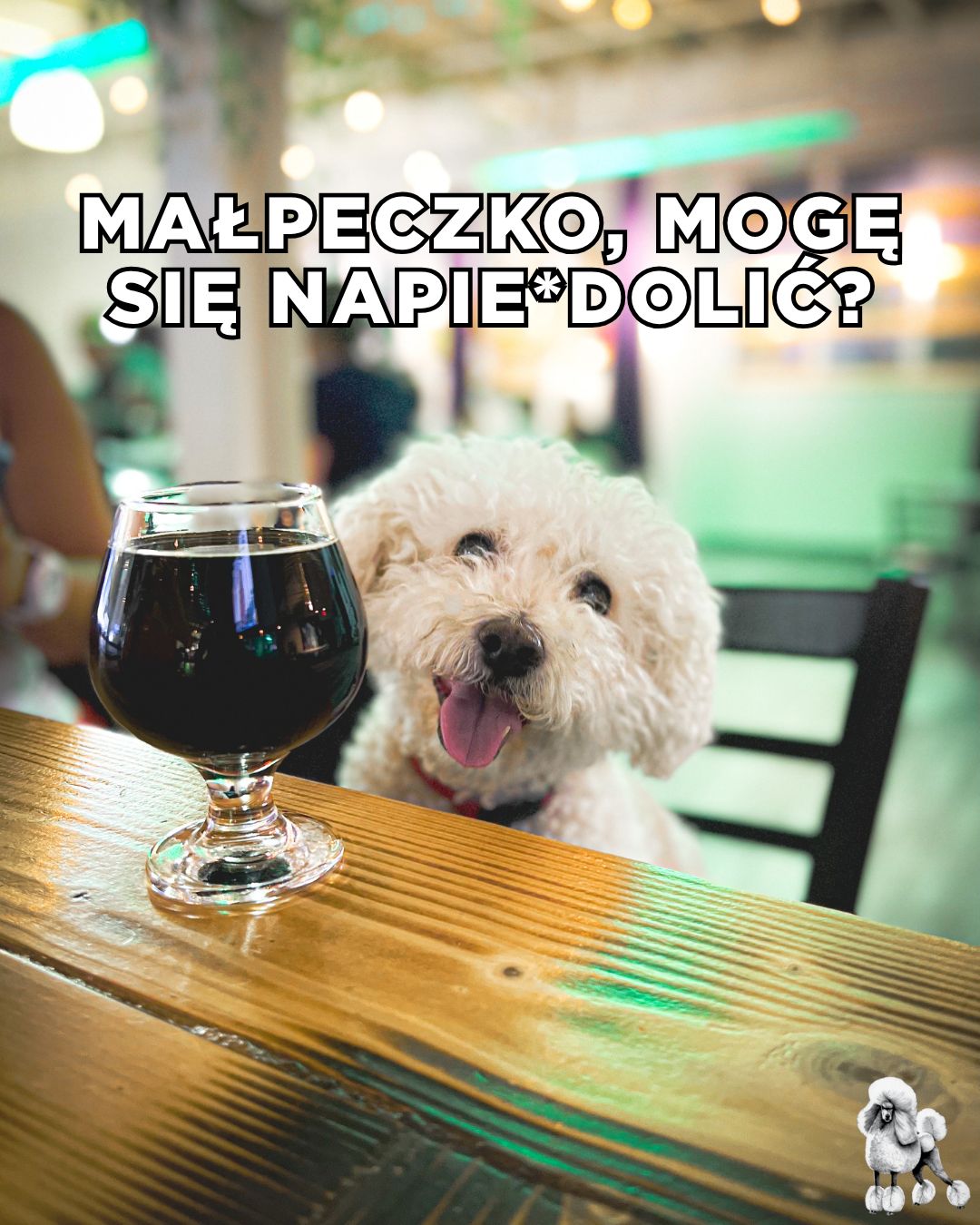 Najlepsze TEKSTY z "Love is Blind"