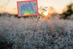 Synoptycy są pewni. Przymrozek i opady śniegu