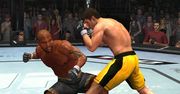 THQ zarobiło krocie - UFC także na Wii i konsole przenośne