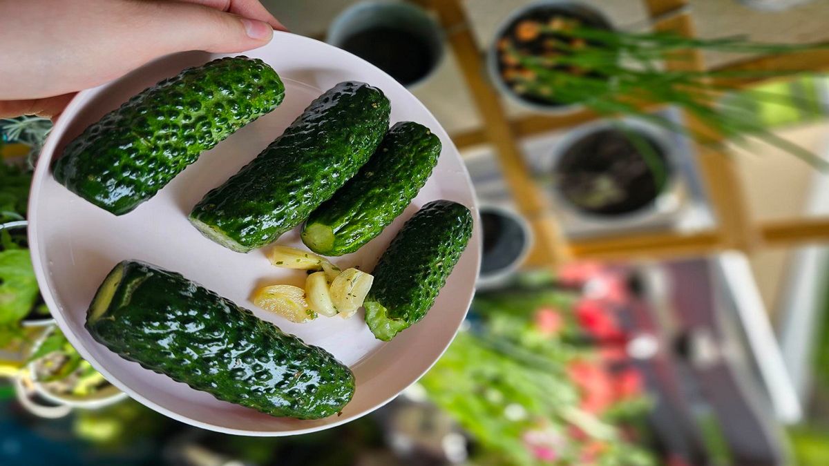 Ogórki małosolne. Fot. Archiwum prywatne