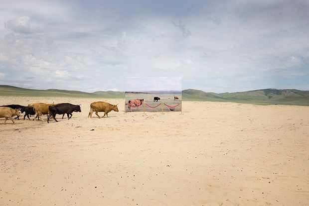 Archeologia przyszłości. Fotografie ukazują, jak Mongolia zamienia się w pustynię 5