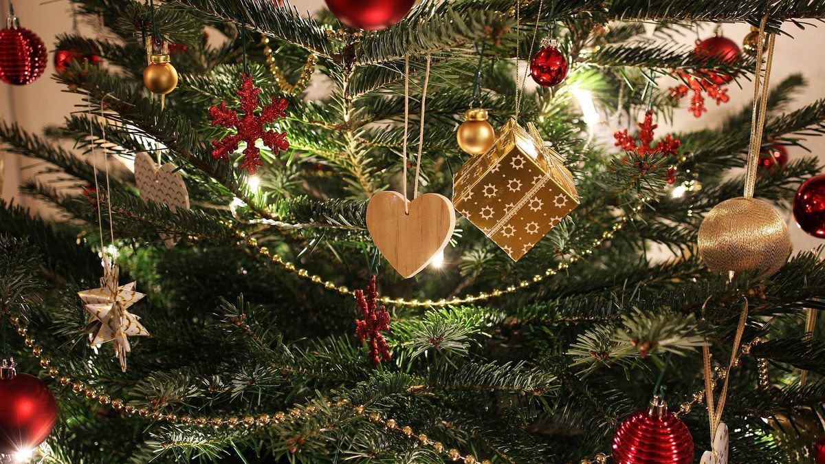 Co zrobić, by choinka nie gubiła igieł?