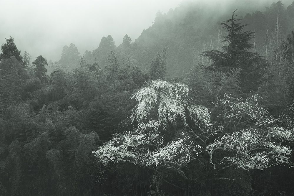 Hiroaki Hasumi przedstawia piękno Japonii w projekcie "Nippon" 6