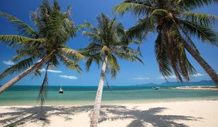 Tajlandia znów otwiera się na turystów i chce być bardziej "SEXY"! Konkurencja dla Tulum i Zanzibaru?