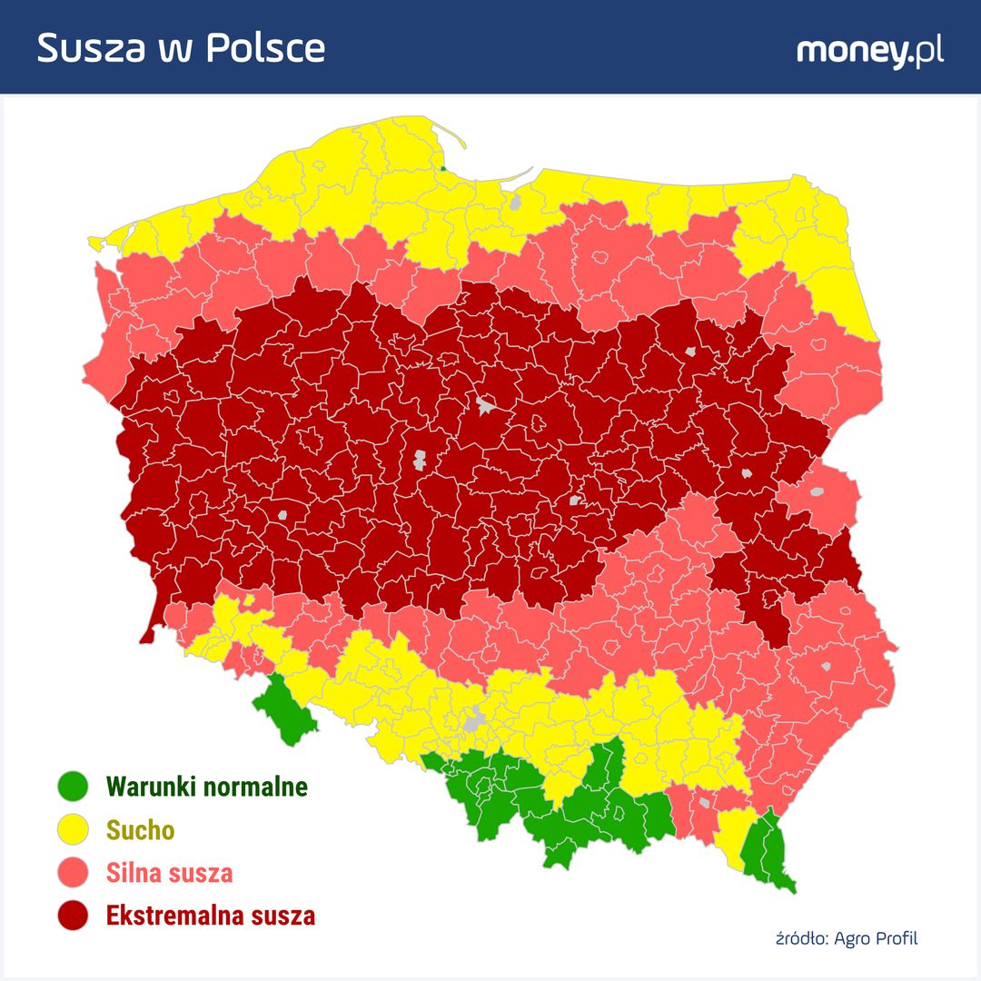 Susza w Polsce 