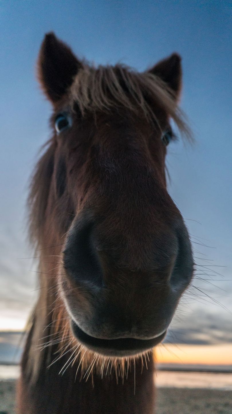 Islandia to raj dla fotografów. Zimą jest jeszcze piękniejsza 4