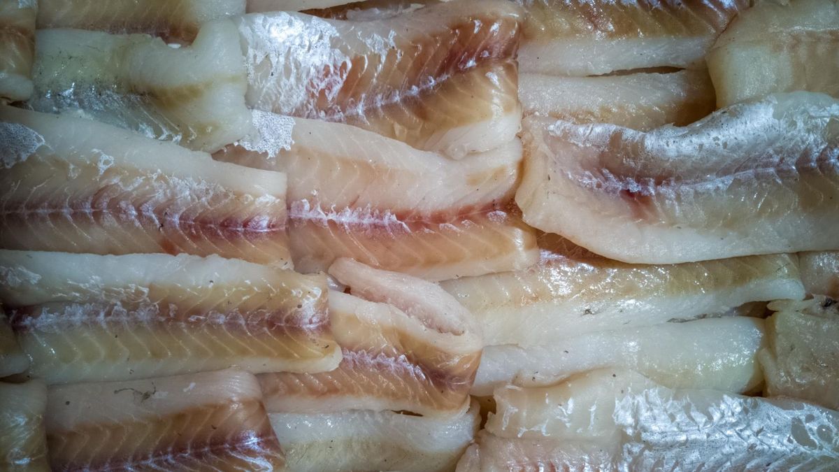 Na wyspach się nią zajadają. Niedoceniona w Polsce ryba, a szkoda