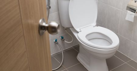Wsyp szklankę do muszli. "Wyżre" cały brud w mig