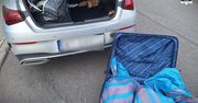 Siemianowice Śląskie: Policjanci przejęli blisko 100 kilogramów narkotyków. Dwaj mieszkańcy zatrzymani