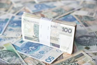 Polacy w PPK. Zaskakujące dane