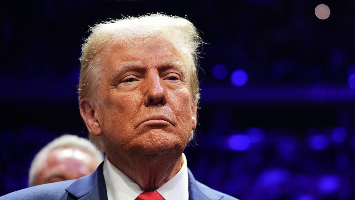 NEW YORK, NEW YORK - NOVEMBER 16: President-elect Donald Trump looks on during the UFC 309 event at Madison Square Garden on November 16, 2024 in New York City. (Photo by Chris Unger/Zuffa LLC)
