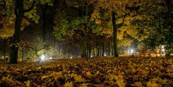 Toruń: Zima jeszcze się nie spieszy. "Miesiąc cieplejszy od normy wieloletniej"