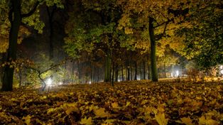 Toruń: Zima jeszcze się nie spieszy. "Miesiąc cieplejszy od normy wieloletniej"