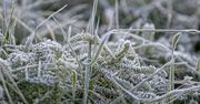 Arktyczne powietrze nad Polską. IMGW zapowiada mróz do -8°C