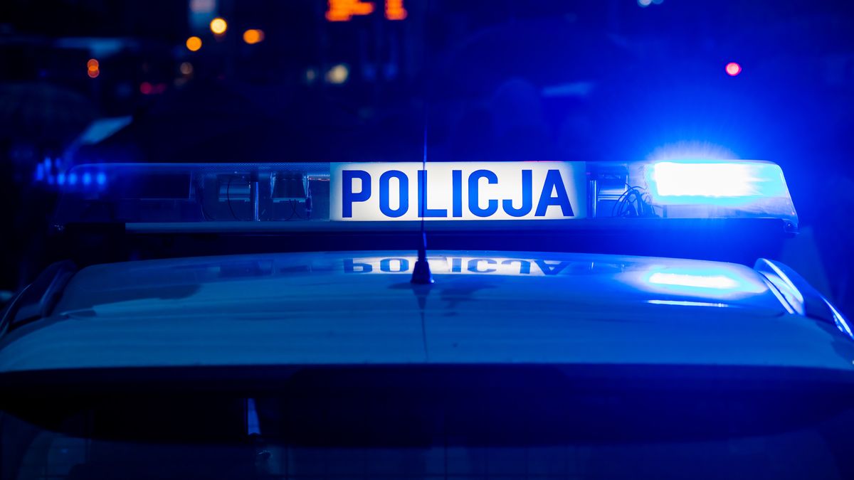 na sygnale, samochód policyjny, radiowóz, policja, pojazd uprzywilejowany, lampa sygnalizacyjno-ostrzegawcza, kogut policyjny, oznaczenie, ruch drogowy, przewozy, auto policyjne, radiowóz policyjny, pomoc, na pomoc, ratunek, interwencja, interwencja policyjna, akcja policji, patrol, ochrona, sacurity, prewencja, wzywanie pomocy, na ratunek