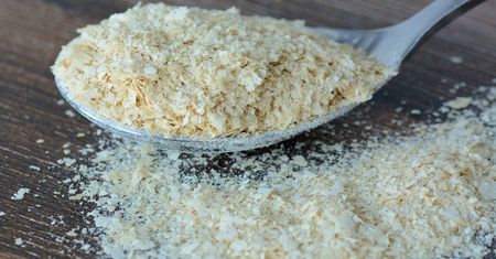Świetnie zastępują parmezan. Jedz regularnie, a jelita ci podziękują