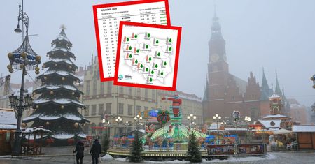 Święta bez śniegu? Jest już prognoza długoterminowa