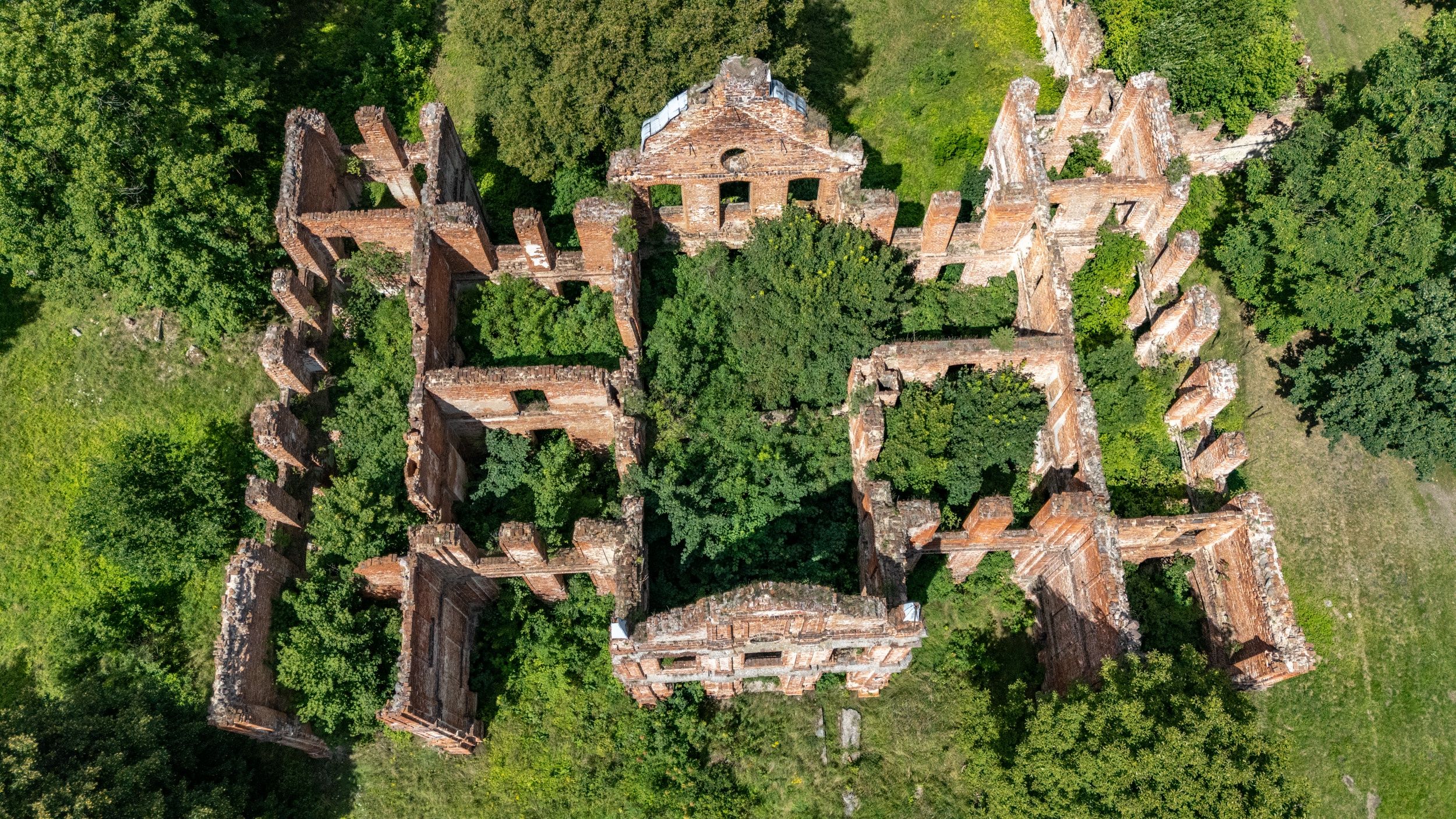 Z góry widać układ murów i roślinność wypełniającą wnętrze. 