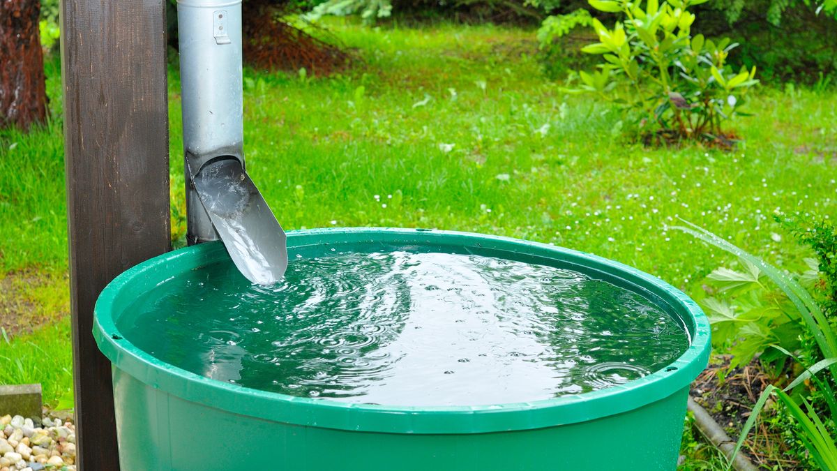 Tego nie wolno robić z deszczówką. Wysoka kara albo nawet areszt