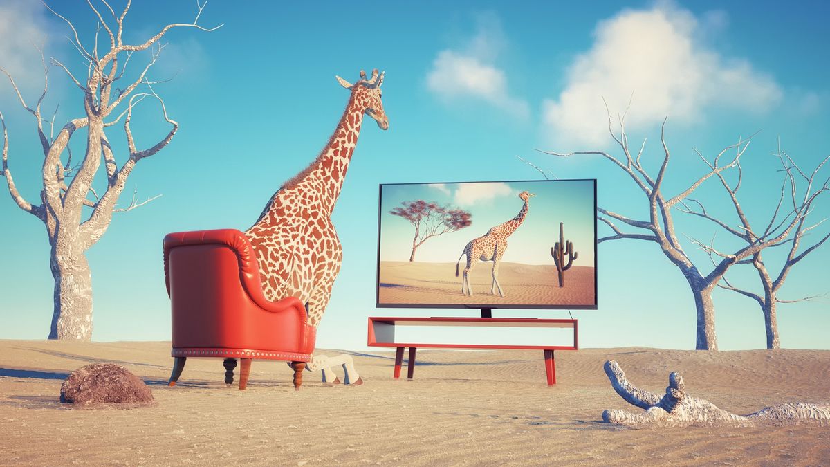 Telewizor 75-calowy w nietypowej scenerii