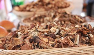 Grzyby suszone. Cena. Nawet kilkaset złotych za kilogram