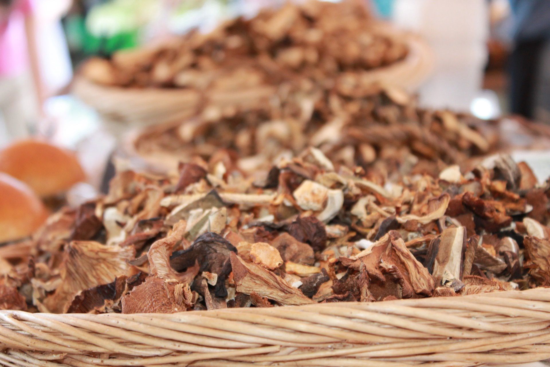 Grzyby. Cena suszonych owocników sięga kilkuset złotych