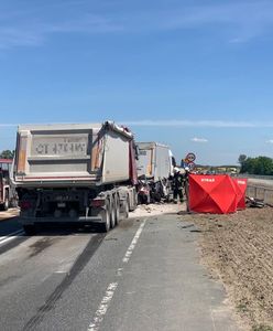 Zginęły 4 osoby. Koszmarny wypadek na DK5